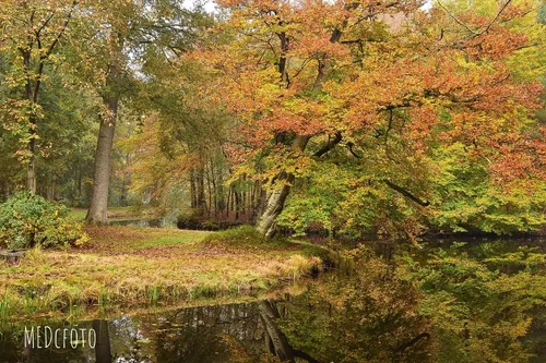 Castle Groeneveld's Gardens - Netherlands