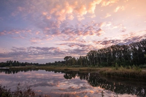 Sonnenaufgang Weitwörther Au - از جانب Beobachtungspunkt, Austria