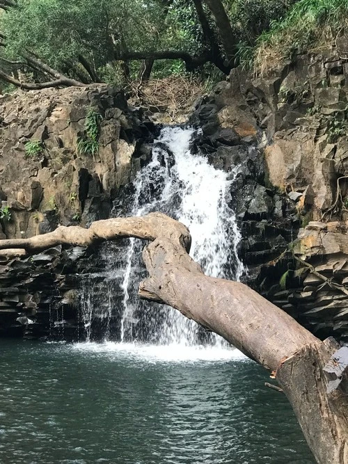 Twin Falls Maui Waterfall - İtibaren Base of falls on Twin Falls Hike, United States