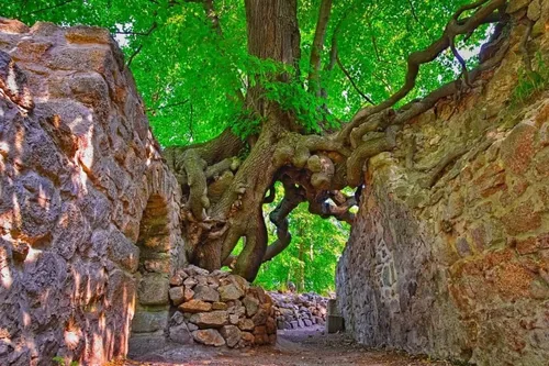 Burgruine Große Lauenburg - Germany