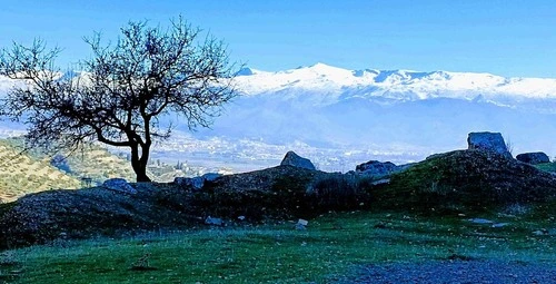 Sierra nevada - From Los caballitos del rey, Atarfe, Spain