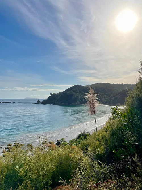 Little Bay - New Zealand