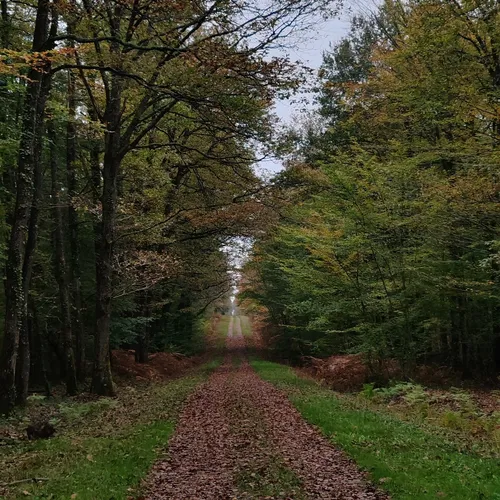 Réserve biologique du Vallon du Maupas - France