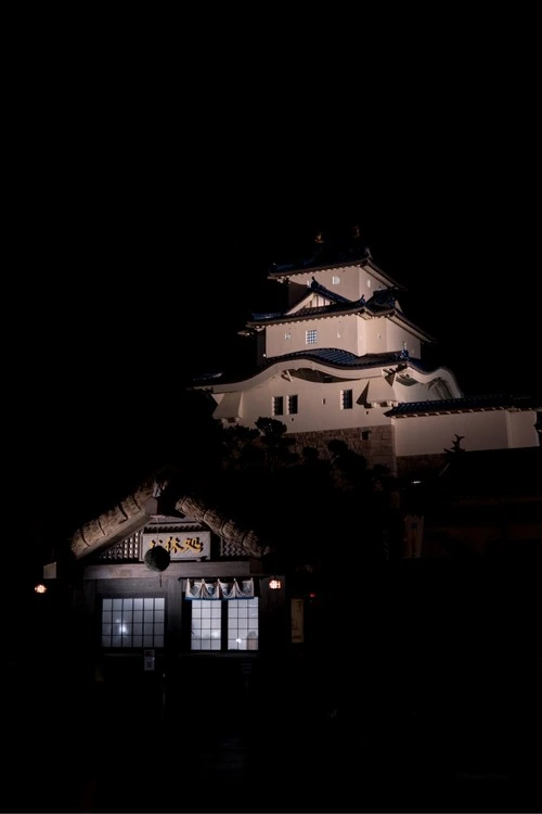 Japan Pavillion Epcot - Desde Main path nearby, United States
