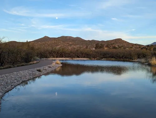 Agua Caliente Regional Park - United States