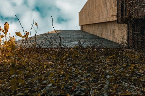 Vines - From The Pearl, United States