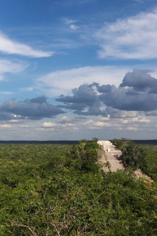 Calakmul Sitio Arqueologico - Desde Estructura 1, Mexico
