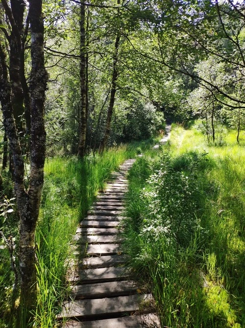 Fossen Path - Norway