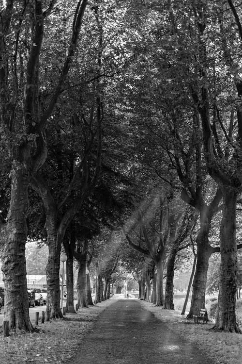 Schwarzbach - Aus Riverside, Germany