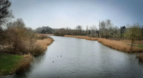 Landscape Love - From Der Brücke, Germany