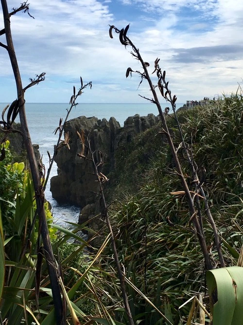 Pancake Rocks - Van Punakaiki, New Zealand