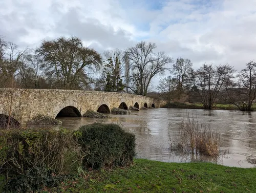 Pont du Séquoia - France