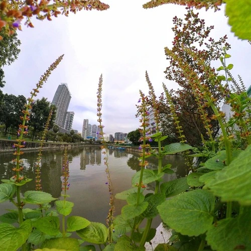 Kallang River - Singapore