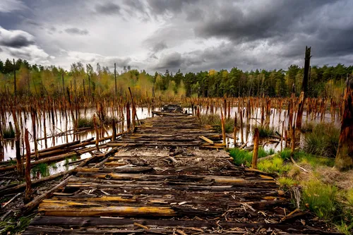 Reuthener Moor - Germany