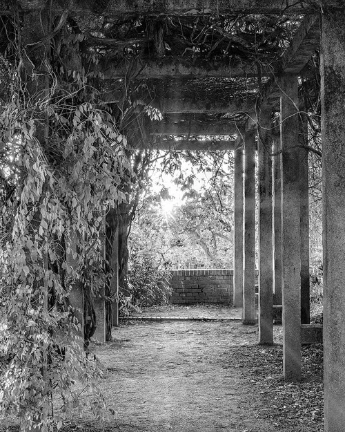 Hochzeitsturm - Desde Gardens, Germany
