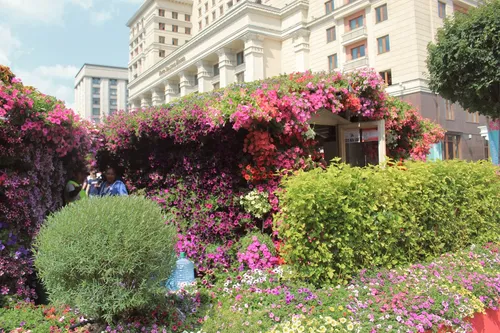 Garden in Manezhnaya Square - Russia