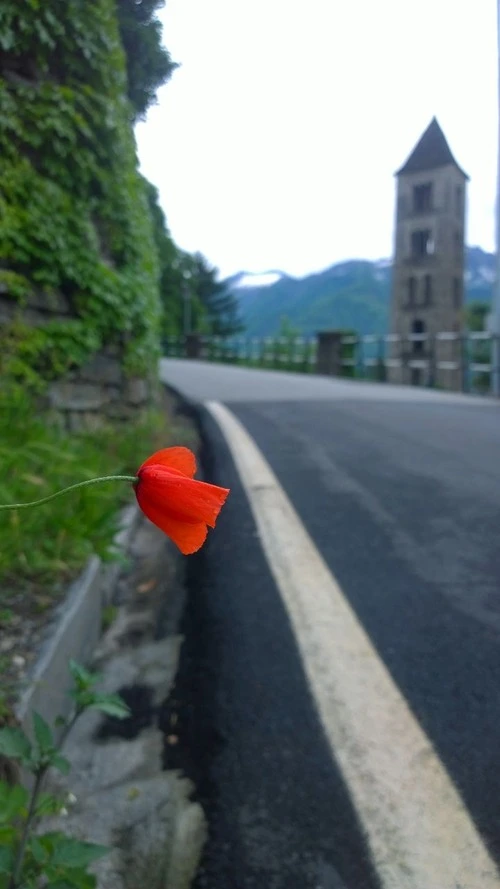 Campanile di San Bartolomeo - Depuis Via Gaggio, Italy