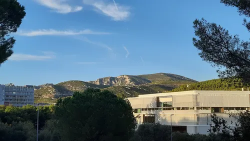 University Library of Science Luminy - France