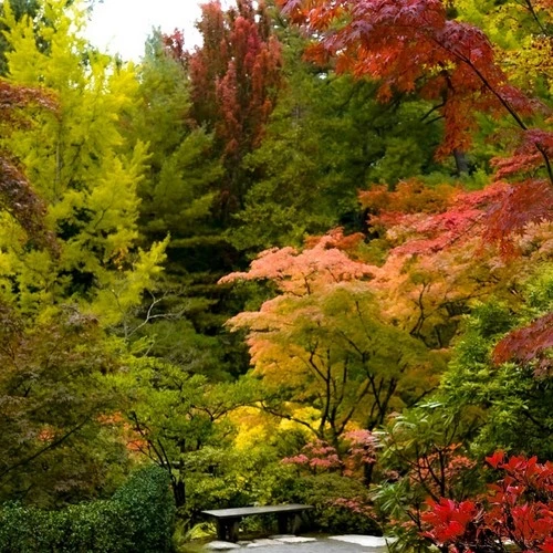 Seattle Japanese Garden - United States