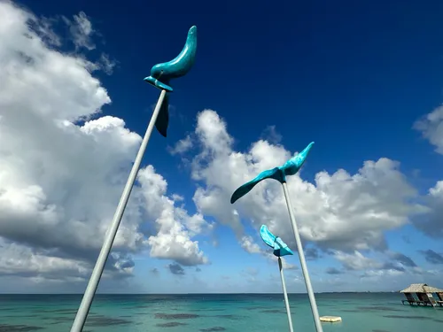 Art in the Port - French Polynesia