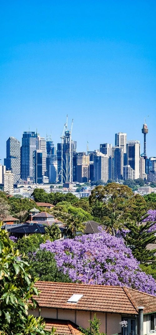 Sydney CBD skyline - Depuis Public terrace at 154 Pacific Highway - St Leonards, Australia