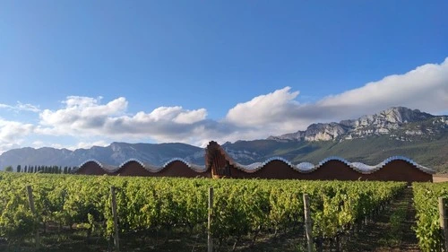 Bodegas Ysios - Desde Street, Spain