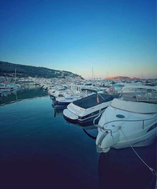 Associació Nàutica Llevantina - Desde Haven Estartit, Spain