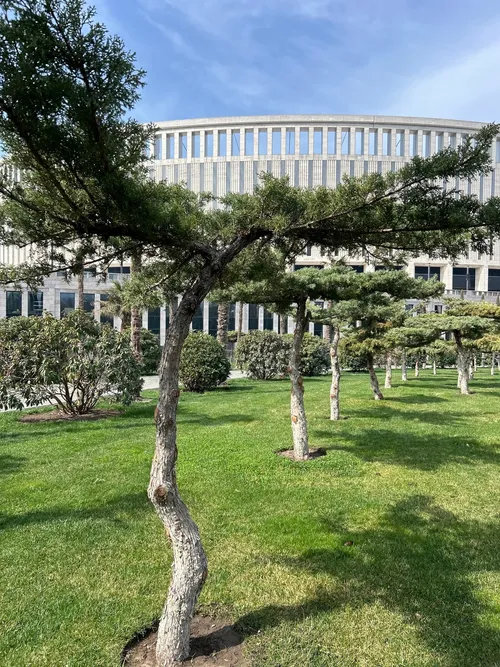 Krasnodar Stadium - De Fontan "Infiniti", Russia