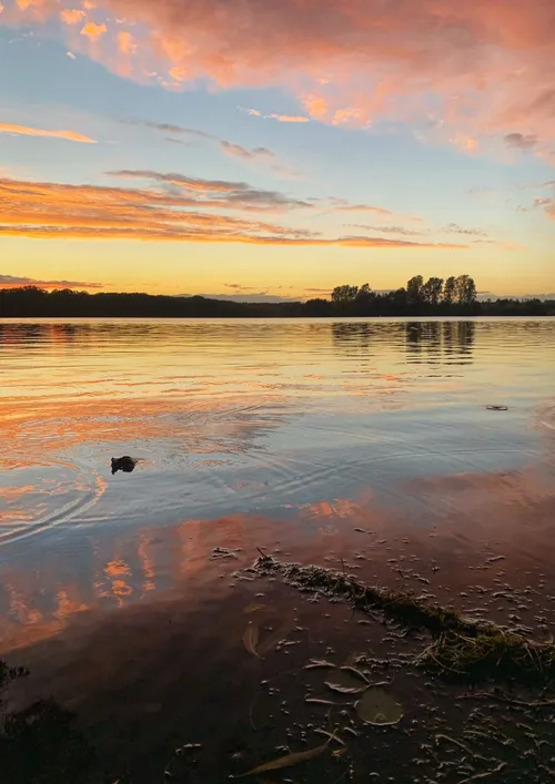 Elbsee - Desde Seebucht, Germany