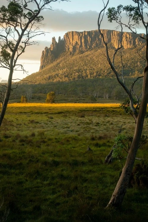 Mt Oakleigh - Dari New Pelion Hut, Australia