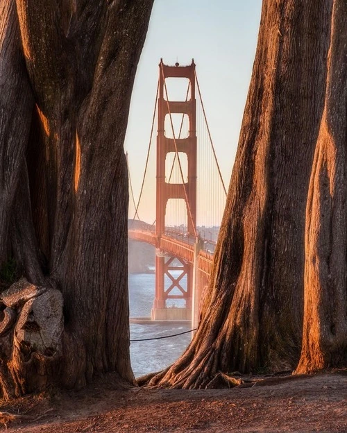 Golden Gate Bridge - 从 Battery Godfrey, United States
