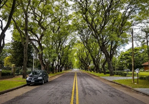 Avenida Nottebohn - Argentina