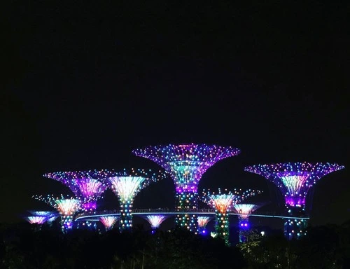 Marina Bay Overpass - From Viewpoint, Singapore
