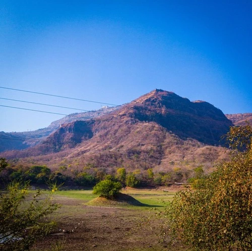The Lone Tree - From Patal Lake, India