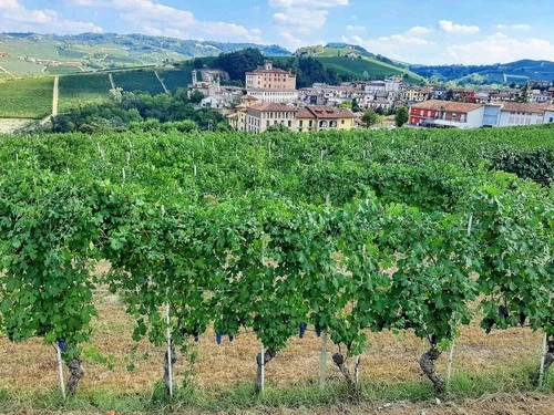 Barolo - من Viewpoint, Italy