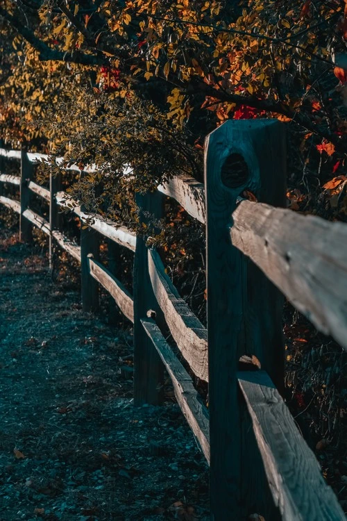 Trial Fences - Desde Walker Ranch Park, United States
