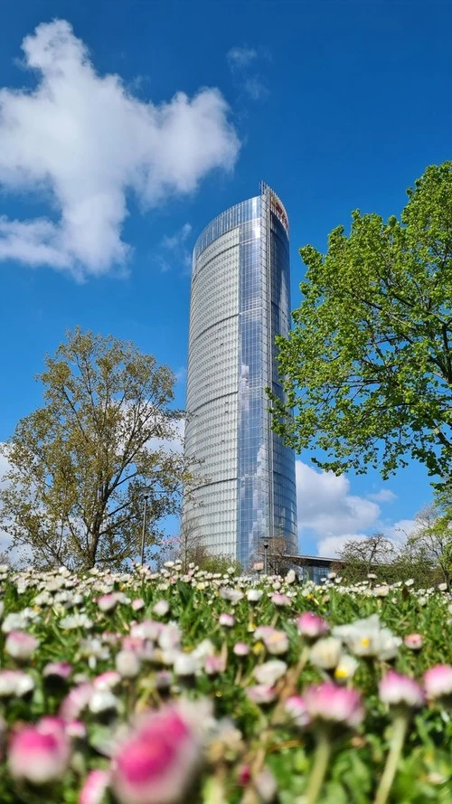 Field of Daisies & Posttower - จาก Meadows at the Parkplatz am Posttower, Germany