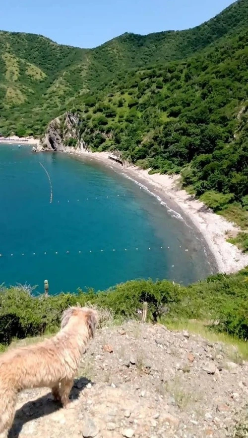 Playa Calderón - Colombia