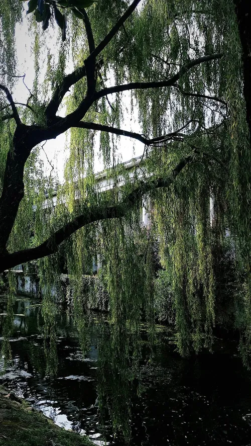 Salvi Gardens Vicenza - Italy