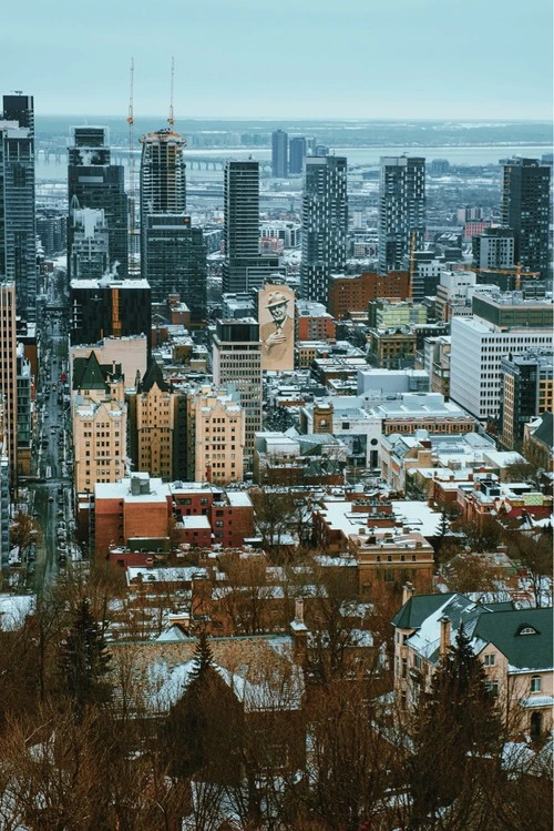 Leonard Cohen Mural - Z Mont Royal view point, Canada