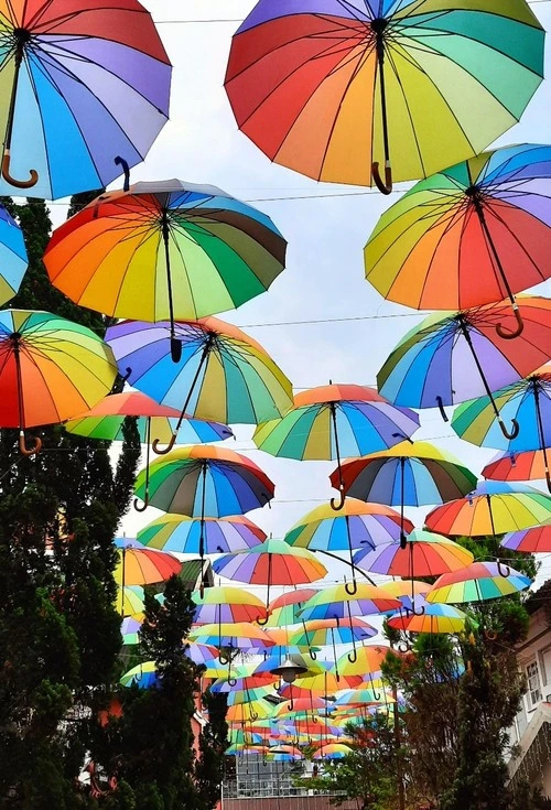 Colorful Umbrellas - Depuis Little Finland, Brazil