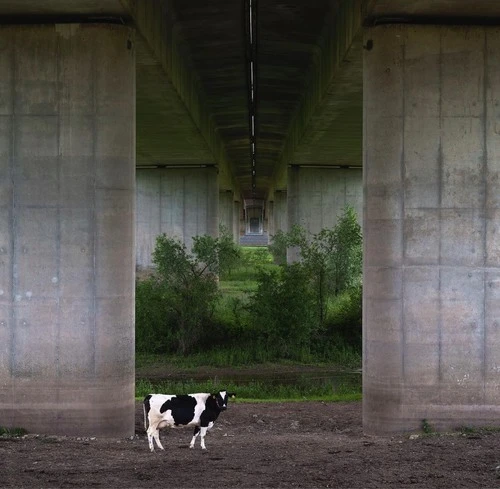 Onder doorgang A1 - From Viaduct A1, Netherlands