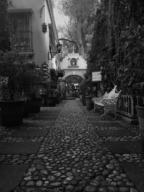 Hacienda de Cortés - Coyoacán - Desde Restaurante, Mexico