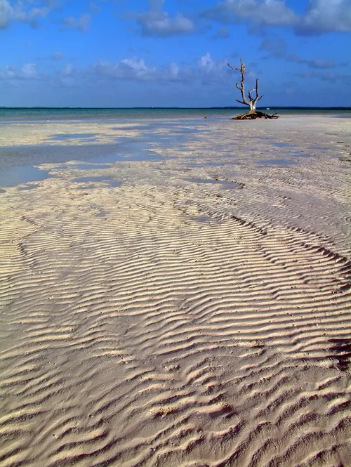 Lava Rock Point - Bahamas
