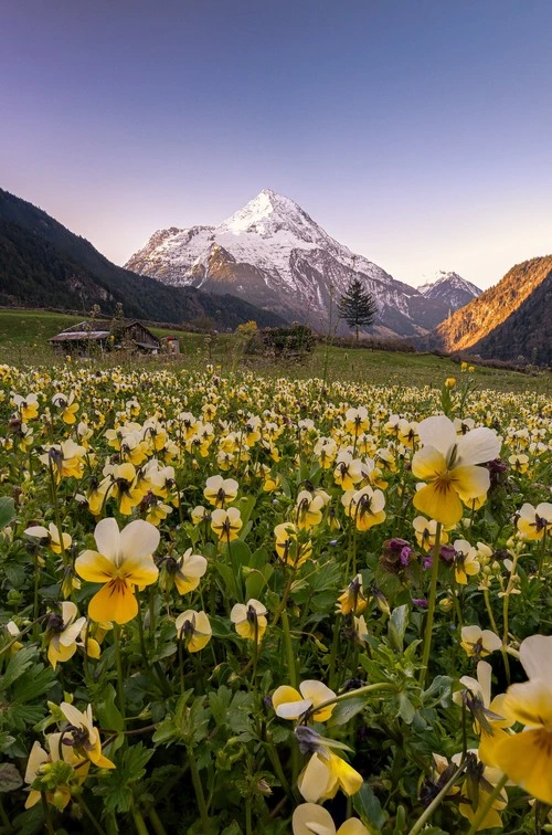 Silenen - Switzerland