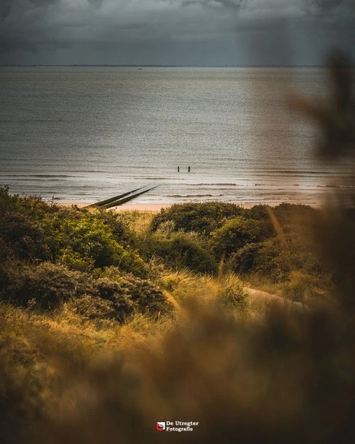 Beach Zoutelande - Aus Strand Zoutelande, Netherlands