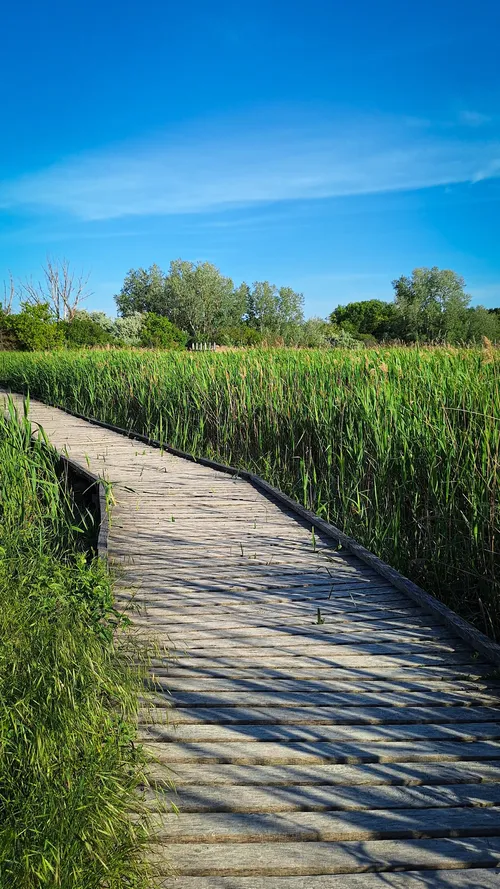 Sóstó Természetvédelmi Terület - Hungary