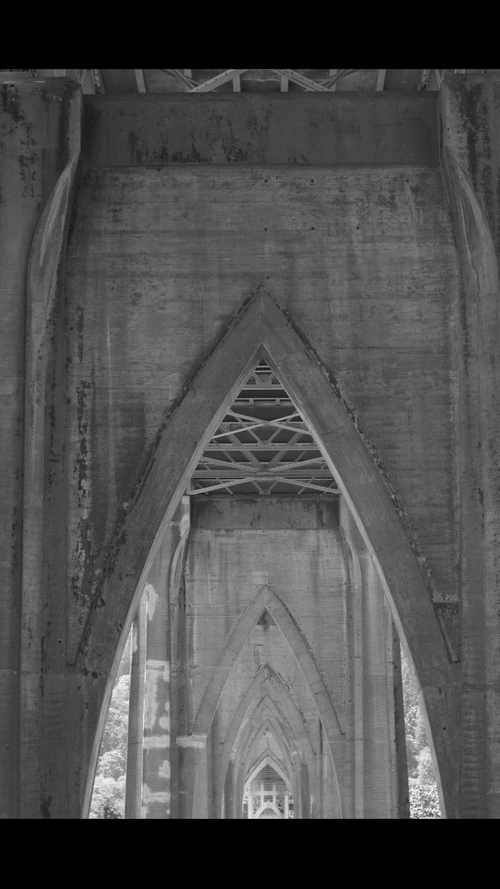 Under the St. John's Bridge - From Cathedral Park, United States