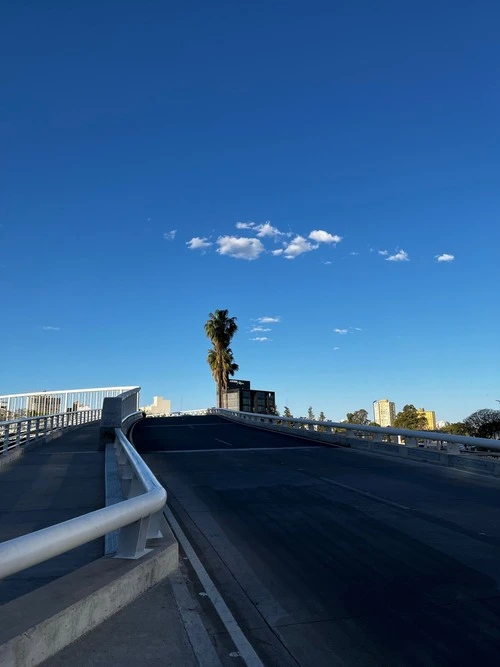 Puente Figueroa Alcorta - Argentina