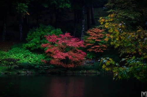 Autumn landscape - From The northern bank of the lake, France
